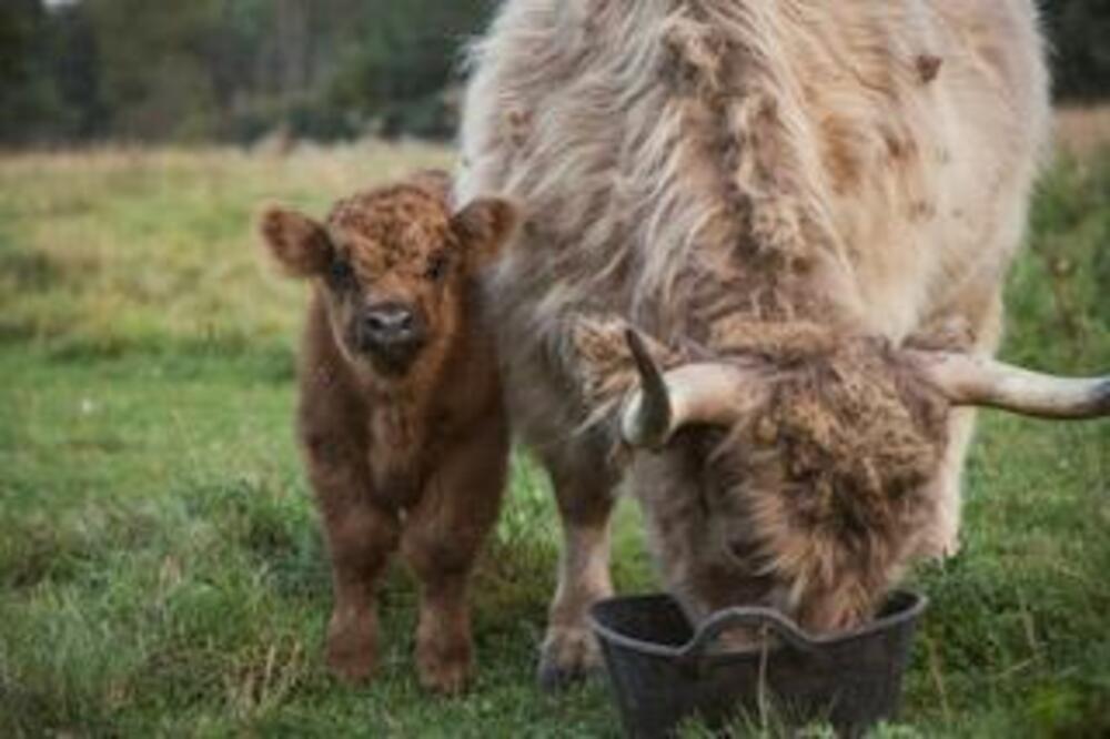 124918733efdfbf98326528ac86b4953-e19db15c-91af-4a82-9fc9-b4f406aaba89